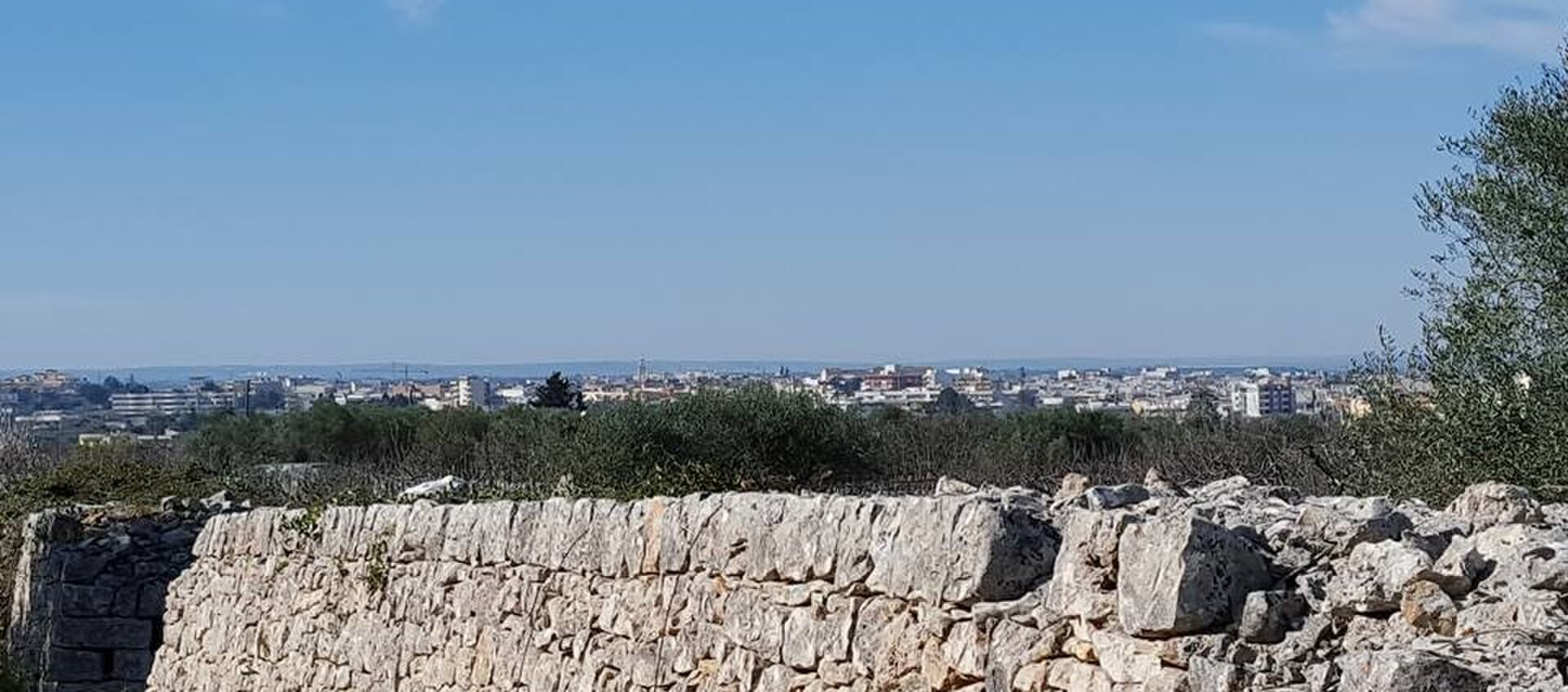 Turi